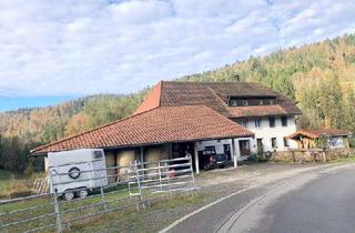 Bauernhaus kaufen in 79682 Todtmoos, +++ AVERNET - EHEMALIGES BAUERNHAUS MIT LÄNDEREIEN IN TODTMOOS +++
