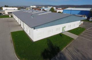 Büro zu mieten in 69181 Leimen, *WEIHNACHTSANGEBOT* Moderne Produktions-/Lagerhalle mit viel Platz für Ihre Ideen!
