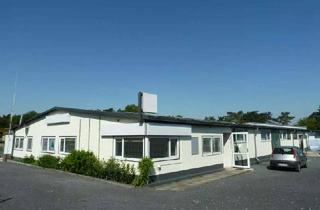 Büro zu mieten in 21629 Neu Wulmstorf, Gepflegte Werkstatt-/Lagerhalle mit Büro in Neu Wulmstorf
