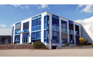 Büro zu mieten in Kleines Feldlein 22, 74889 Sinsheim, Sinsheim | Hochwertige Bürofläche an der A6 | ca. 250 m²