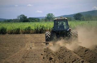 Gewerbeimmobilie kaufen in 89407 Dillingen, Ackerland zu verkaufen