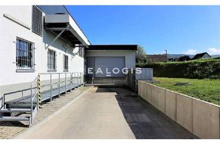 Büro zu mieten in 63477 Maintal, Lager- / Logistikfläche mit Büro - provisionsfrei