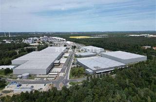 Büro zu mieten in 14974 Ludwigsfelde, Ludwigsfelde, ca. 38.265 m² Lager, Produktion + ca. 5.995 Büro, Freifläche