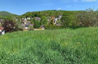 Grundstück zu kaufen in 63877 Sailauf, Ihr Traum beginnt hier: Bauplatz mit unverbaubarer Aussicht in Best-Lage!