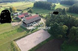 Gewerbeimmobilie kaufen in Saaß,, 91257 Pegnitz, Reiterhof Gewerbefläche Lagerhalle Investoren Unternehmen Betriebe Pferde - auch teilbar