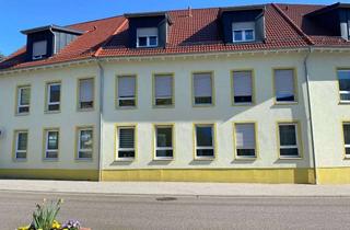 Wohnung kaufen in 76887 Bad Bergzabern, 2 Zimmer Neubauwohnung im 1. OG mit Balkon derzeit gut vermietet
