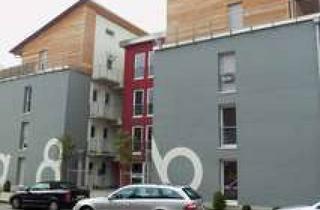 Wohnung mieten in Zum Werhahn, 50169 Kerpen, Möbliertes Appartement in bester Lage in Horrem (am Bahnhof)