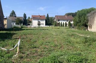 Reihenhaus kaufen in 67435 Geinsheim, Neustadt-Geinsheim, Neubau eines attraktiven Reihenhaus mit ca. 133 m² Wfl und 234 m² Areal