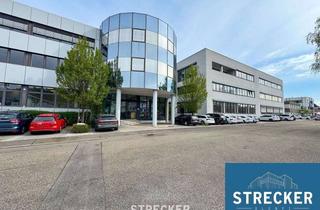 Gewerbeimmobilie mieten in 75203 Königsbach-Stein, Produktions-, Verwaltungsflächen, Montage- und Verwaltungsflächen bis 4.360m² möglich