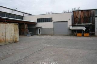 Büro zu mieten in 75031 Eppingen, Lagerkalthalle mit Büro in der Nähe zur B-293 in Eppingen