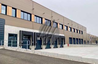 Büro zu mieten in 64832 Babenhausen, RAMPE + EBEN ✓ 24/7-Nutzung ✓ Lager-/Logistik (10.500 m²) & Büro (1.000 m²) zu vermieten