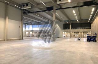 Büro zu mieten in 64832 Babenhausen, RAMPE + EBEN ✓ 24/7-Nutzung ✓ Lager-/Logistik (5.500 m²) & Büro (500 m²) zu vermieten