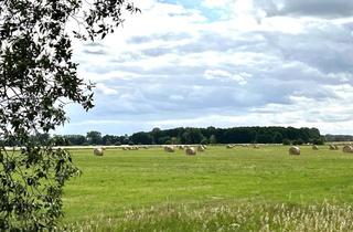 Grundstück zu kaufen in 14641 Nauen, Ackerland