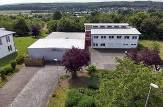 Gewerbeimmobilie kaufen in 56307 Dernbach, modernes Bürogebäude mit Hallenteil in verkehrsgünstiger Lage