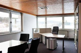 Büro zu mieten in 91456 Diespeck, Modernisierte Büroflächen in ruhiger Lage zu vermieten! Büro 3a-b