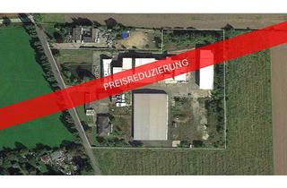 Gewerbeimmobilie kaufen in Brehnaer Straße 38, 04509 Delitzsch, Industrie-und Gewerbepark im Dreieck Leipzig, Delitzsch & Halle