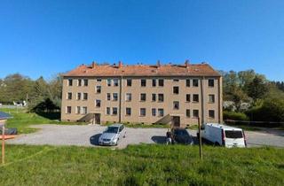 Mehrfamilienhaus kaufen in 04680 Colditz, Attraktives Mehrfamilienhaus mit 12 Einheiten und Entwicklungspotenzial in ruhiger Lage von Colditz-Erlbach