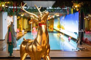 Villa kaufen in 01728 Bannewitz, Villa Haven - Gebäudeensemble der Superlative!