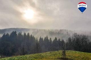 Mehrfamilienhaus kaufen in 79848 Bonndorf, Bonndorf - Idyllisches Wohnhaus mit Stall - ideal für Pferde-Tierhaltung oder Selbstversorgung in Brunnadern