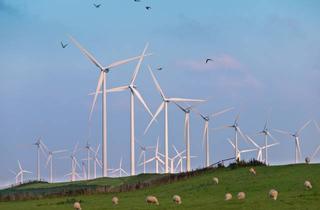 Gewerbeimmobilie kaufen in 25746 Heide, Rentables Businesshotel garni nahe Heide