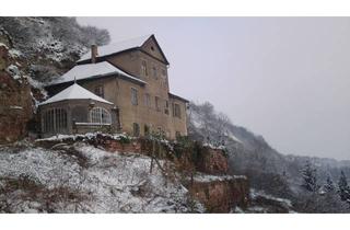 Villa kaufen in Blütengrund 31, 06618 Naumburg, Weinbergvilla im Großjenaer Blütengrund mit 4,7 ha Grundstück und Weinbergen direkt an der Saale