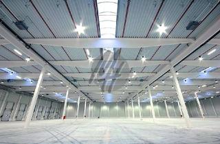 Büro zu mieten in 69126 Rohrbach, KEINE PROVISION ✓ NEUBAU ✓ Lager-/Logistik (10.000 m²) & Büro-/Sozial (500 m²)