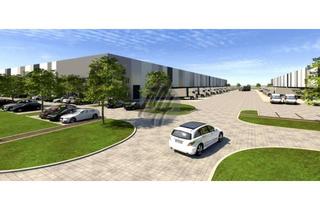 Büro zu mieten in 69168 Wiesloch, KEINE PROVISION ✓ NEUBAU ✓ Lager-/Logistik (15.000 m²) & Büro-/Sozial (500 m²)