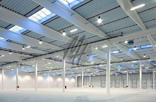 Büro zu mieten in 69168 Wiesloch, KEINE PROVISION ✓ NEUBAU ✓ Lager-/Logistik (10.000 m²) & Büro-/Sozial (500 m²)