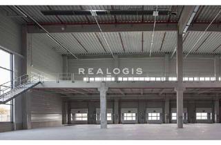 Büro zu mieten in 13403 Wittenau, Reinickendorf, ca. 15.000 m², Logistik, Büro