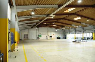 Gewerbeimmobilie mieten in 48703 Stadtlohn, Industriehalle mit Freifläche