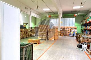 Büro zu mieten in 63329 Egelsbach, SCHNELL VERFÜGBAR ✓ RAMPE + EBEN ✓ Lager (1.200 m²) & Büro (250 m²) zu vermieten