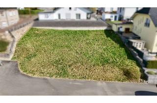 Grundstück zu kaufen in 56237 Deesen, Baugrundstück mit Potential - ideal für moderne Wohnkonzepte
