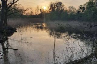 Grundstück zu kaufen in 15370 Petershagen, ca. 600 m² Baugrundstück fußläufig zum S-Bahnhof Petershagen-Nord
