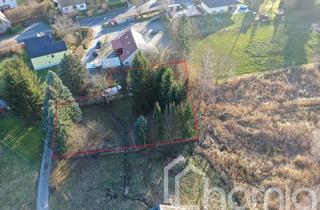 Grundstück zu kaufen in 02681 Wilthen, Freizeit- und Naturgrundstück mit Bächlein in der Oberlausitz (1.085 m²)