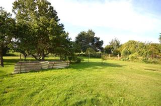 Grundstück zu kaufen in Altensien, 18586 Sellin, Attraktives Baugrundstück mit Blick auf den Selliner See