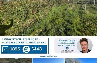 Grundstück zu kaufen in 71665 Vaihingen an der Enz, Landwirtschaftsfläche / Weinbaufläche