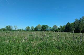 Grundstück zu kaufen in 94315 Straubing, Bauerwartungsland vor den Toren Straubings in wohltuender Umgebung!