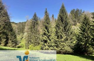 Gewerbeimmobilie kaufen in 78098 Triberg, Waldfläche bei Triberg ! Ihre Chance auf ein Waldgrundstück !