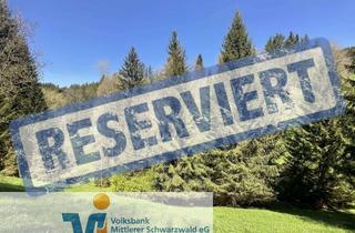 Gewerbeimmobilie kaufen in 78098 Triberg, Waldfläche bei Triberg ! Ihre Chance auf ein Waldgrundstück !