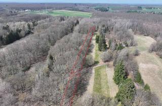 Gewerbeimmobilie kaufen in 06526 Sangerhausen, Kompakter Laubmischwald ca. 1.740 m² bei Sangerhausen - Idylle pur in der Waldsiedlung