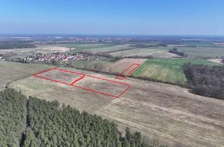 Gewerbeimmobilie kaufen in 02997 Wittichenau, Ackerflächen zwischen Hoyerswerda und Bautzen - ca. 4,5 ha bei Wittichenau