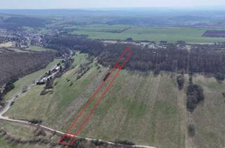Gewerbeimmobilie kaufen in 06526 Sangerhausen, Kompakte Wald- und Grünlandfläche ca. 0,6 im nördlichen Gemeindegebiet von Sangerhausen