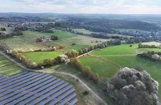 Gewerbeimmobilie kaufen in 56457 Hergenroth, Saftiges Grünland im Westerwald - ca. 3,5 ha nördlich von Westerburg