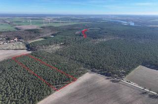 Gewerbeimmobilie kaufen in 14774 Plaue, Kiefernwald ca. 4,6 ha am Rande der Seenplatte Brandenburg an der Havel