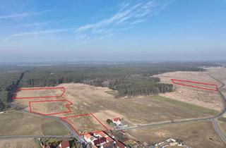 Gewerbeimmobilie kaufen in 01920 Ralbitz-Rosenthal, Grünland-Quartett in der Oberlausitz – ca. 2,5 ha bei Ralbitz-Rosenthal