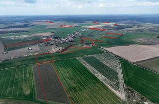 Gewerbeimmobilie kaufen in 39279 Hobeck, Großzügige 48 ha Acker- und Grünlandflächen östlich von Magdeburg - Pachtfreie Übergabe möglich
