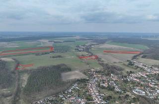 Gewerbeimmobilie kaufen in 06862 Roßlau, Solide Landwirtschaftsflächen ca. 22 ha in Mühlstedt bei Dessau-Roßlau – Pachtfreie Übergabe möglich