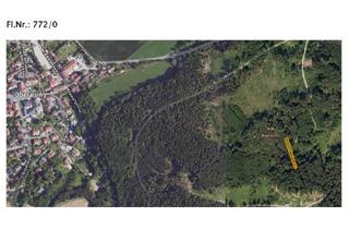 Gewerbeimmobilie kaufen in 82229 Seefeld, Abgabe von 2 Waldgrundstücken in Oberalting