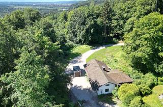 Grundstück zu kaufen in 82057 Icking, Grundstück - direkt über den Isarauen - Isarhochufer, Icking