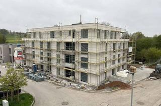Penthouse mieten in Mühlbachstraße 29, 71711 Steinheim, Penthouse mit genialer Aussicht